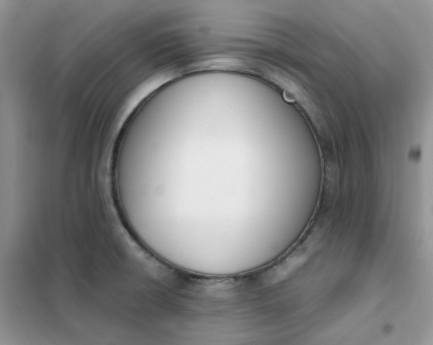 X0000102031426200808011437