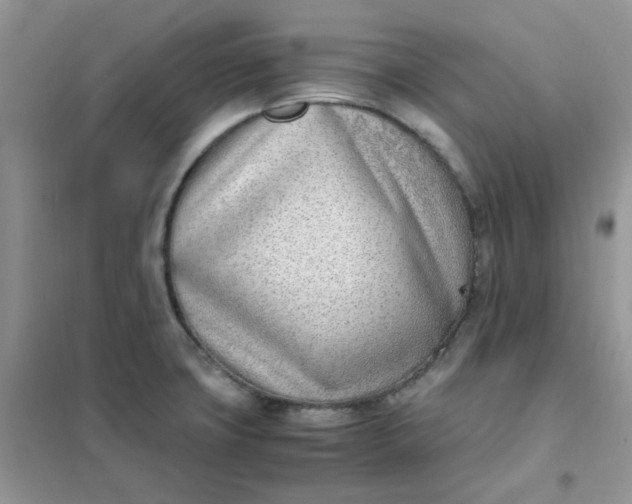 X0000102031427200808011437