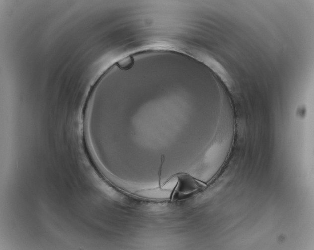 X0000102031428200808011437