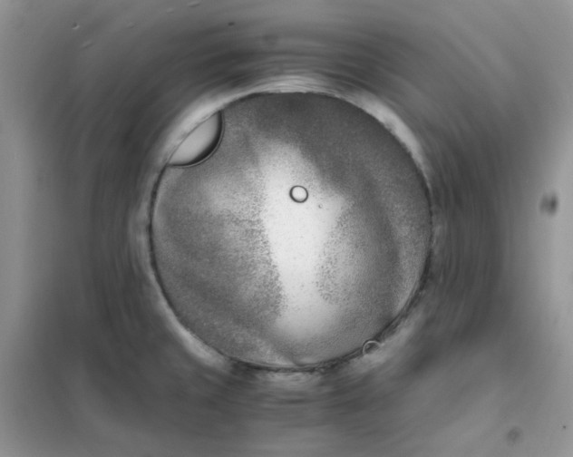 X0000102031429200808011437