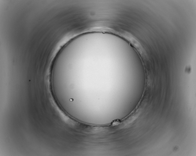 X0000102031430200808011437