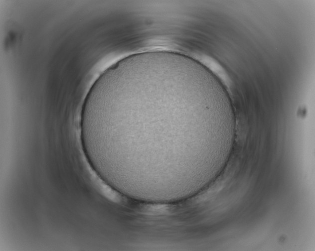 X0000102031431200808011437