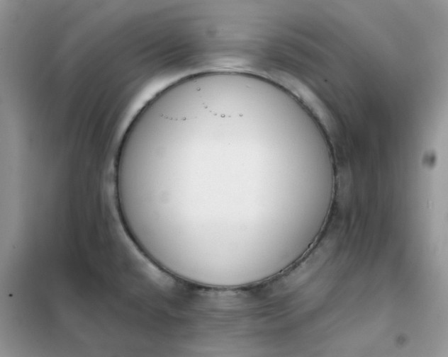 X0000102031432200808011437