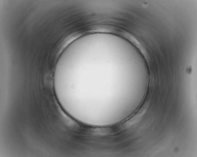 X0000102031433200808011437