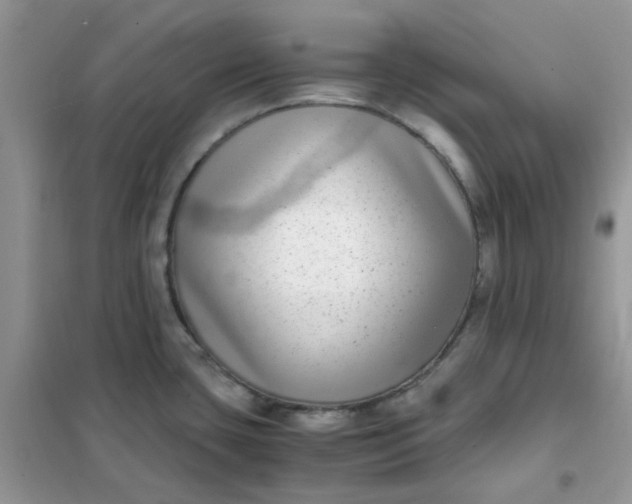 X0000102031435200808011437