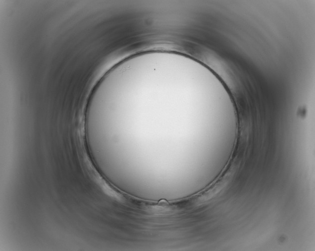 X0000102031436200808011437