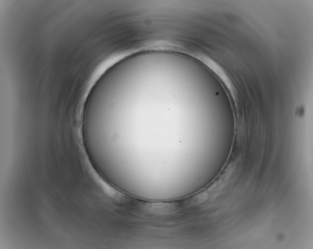 X0000102031437200808011437