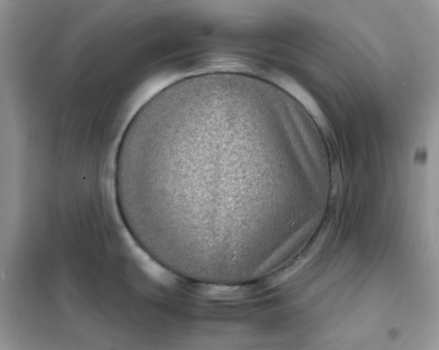 X0000102031439200808011437