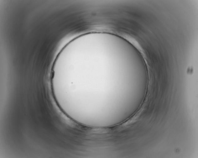 X0000102031440200808011437