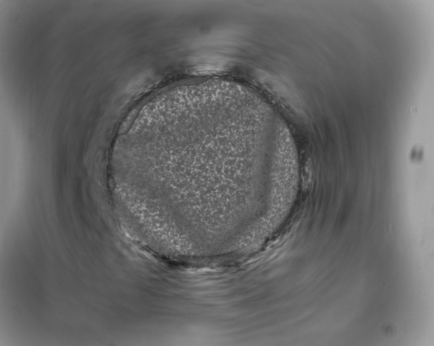 X0000102031441200808011437