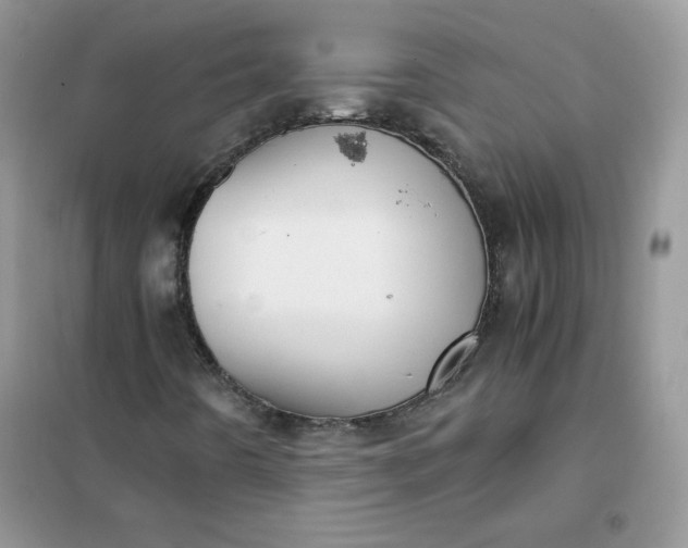 X0000102031442200808011437