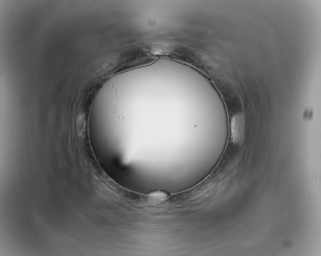 X0000102031443200808011437