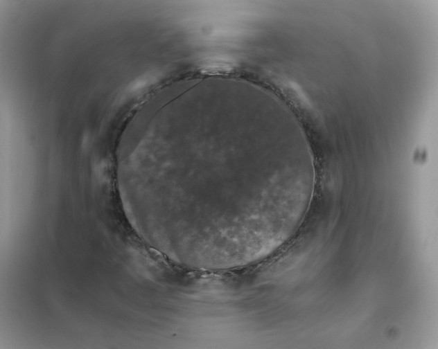 X0000102031445200808011437