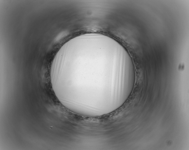 X0000102031446200808011436