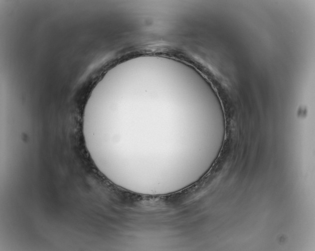 X0000102031447200808011436