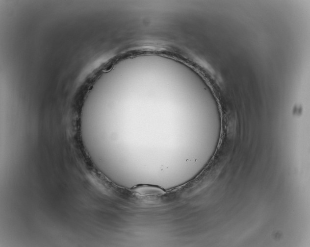 X0000102031448200808011436