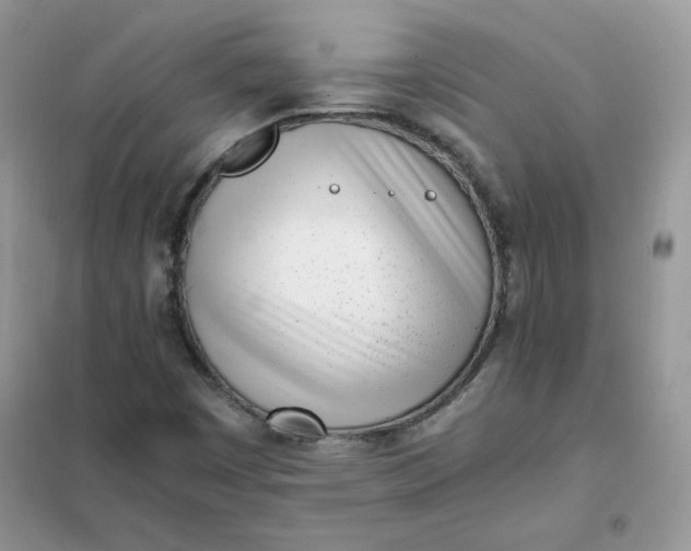 X0000102031449200808011436