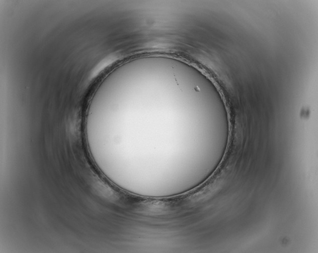 X0000102031450200808011436