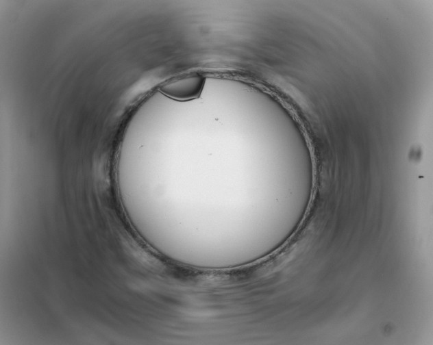 X0000102031451200808011436