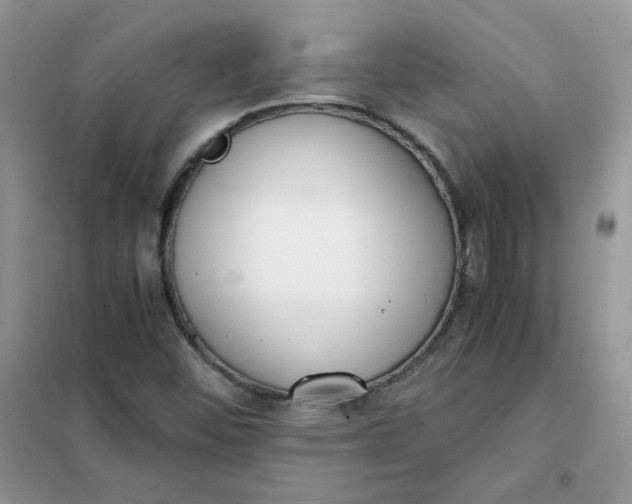 X0000102031452200808011436