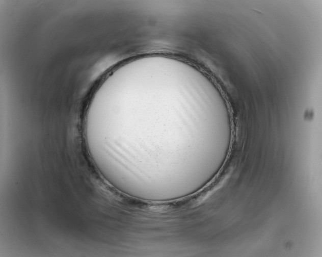 X0000102031453200808011436