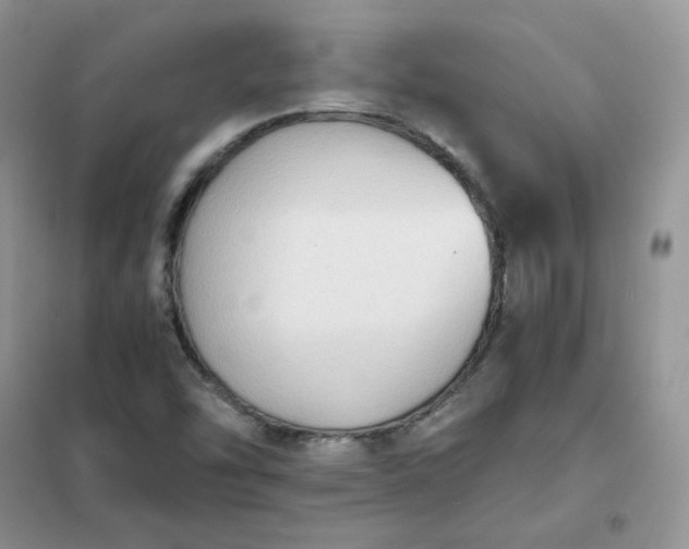 X0000102031454200808011436