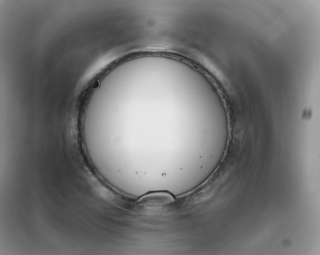 X0000102031456200808011436