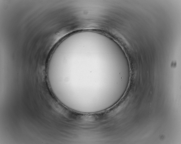 X0000102031457200808011436