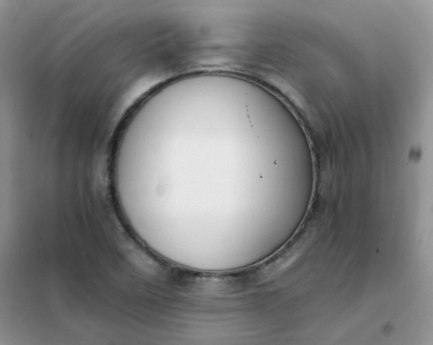 X0000102031458200808011436