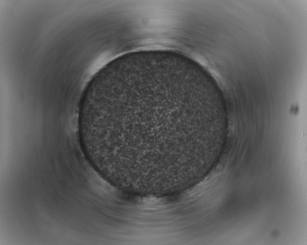 X0000102031459200808011436