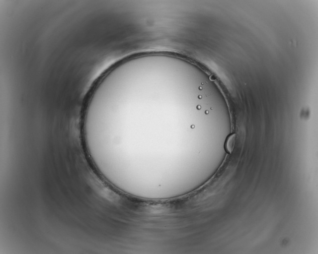 X0000102031460200808011436