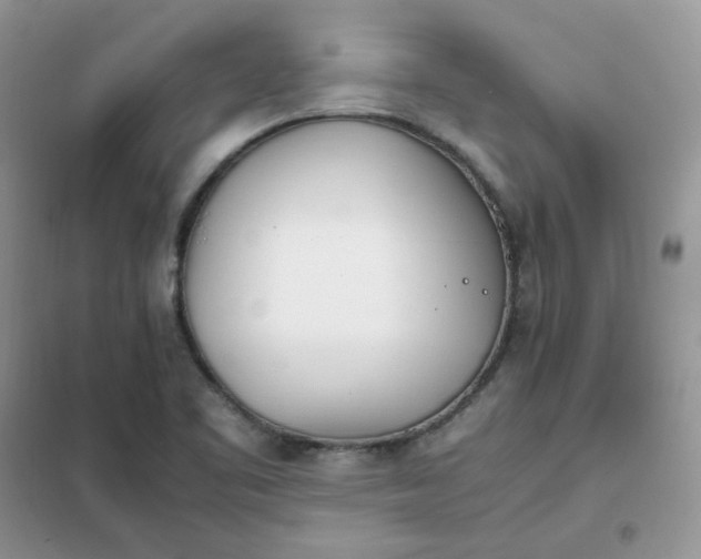 X0000102031461200808011436