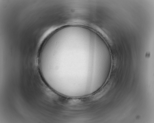 X0000102031462200808011436