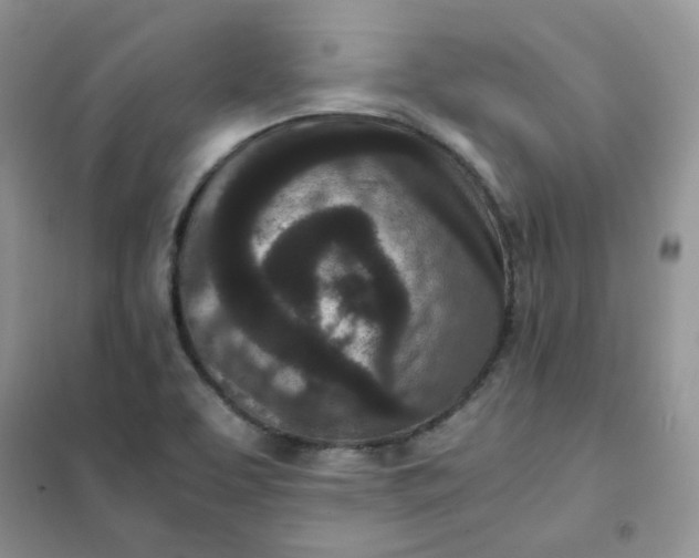 X0000102031463200808011436