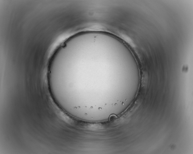 X0000102031464200808011436