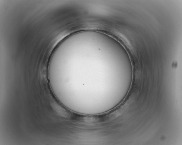 X0000102031465200808011436