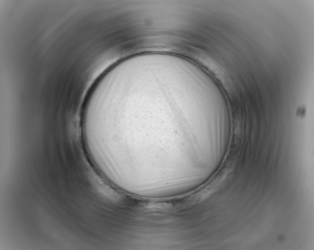 X0000102031466200808011436