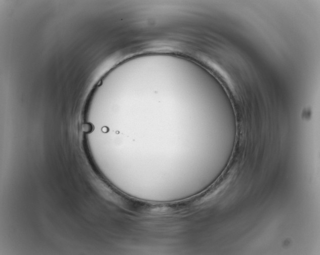 X0000102031467200808011436