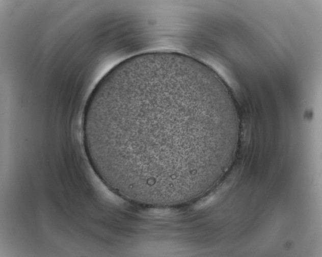 X0000102031468200808011436