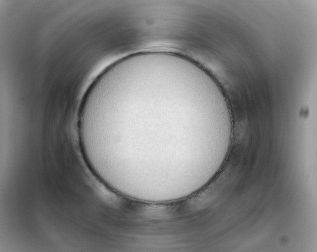 X0000102031470200808011436