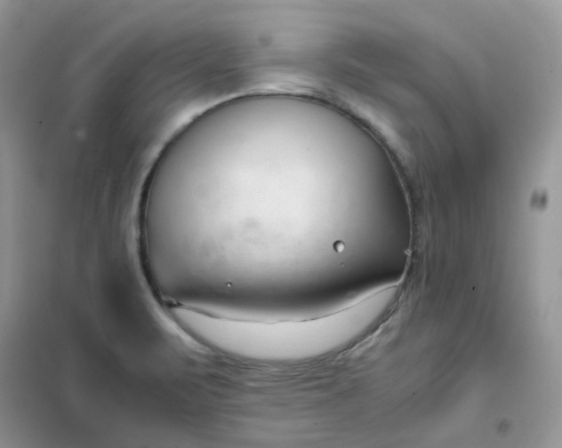 X0000102031471200808011436