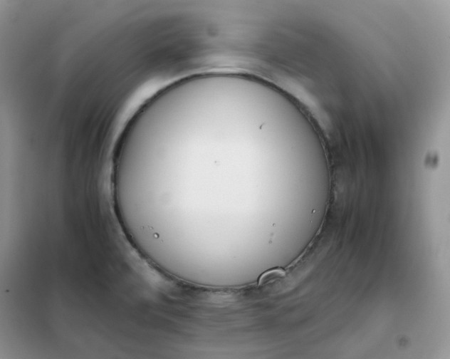 X0000102031472200808011436