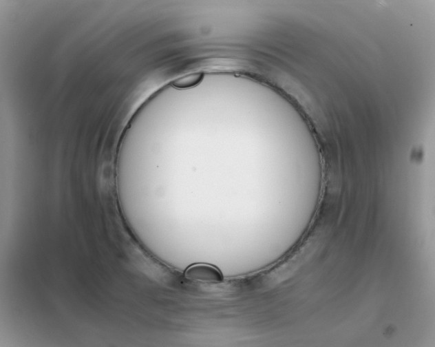 X0000102031473200808011436