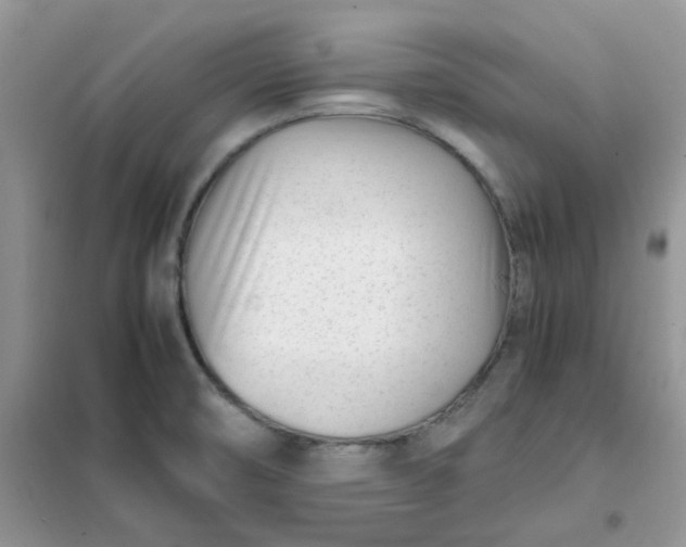 X0000102031474200808011436