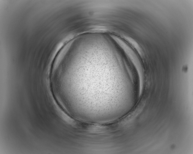 X0000102031475200808011436