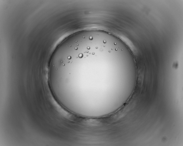 X0000102031476200808011436