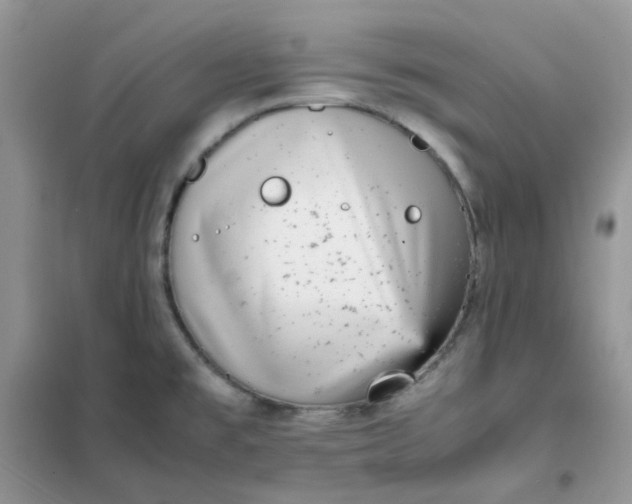 X0000102031477200808011436