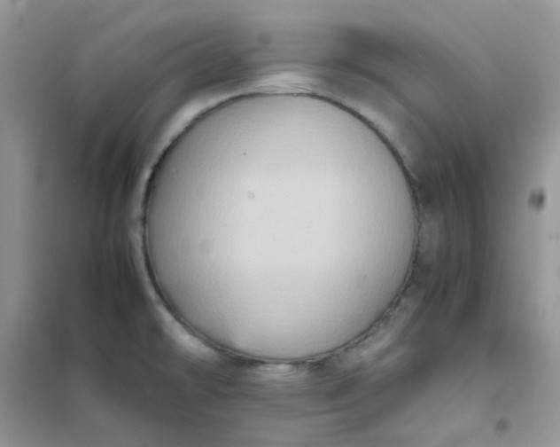 X0000102031478200808011436