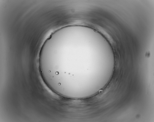 X0000102031479200808011436