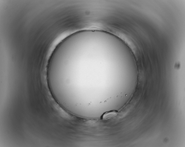 X0000102031480200808011436